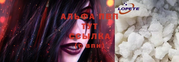 стаф Ельня
