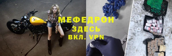 стаф Ельня