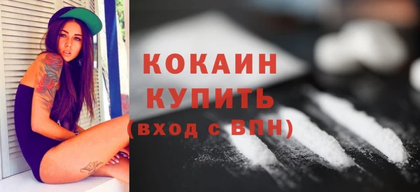 стаф Ельня