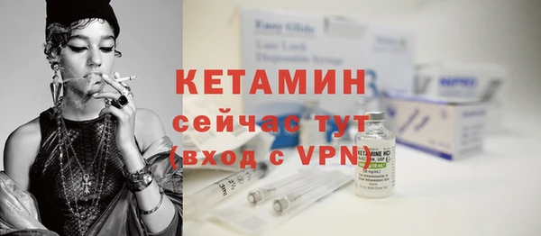 стаф Ельня
