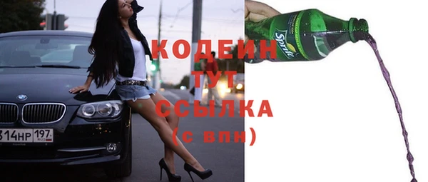 стаф Ельня