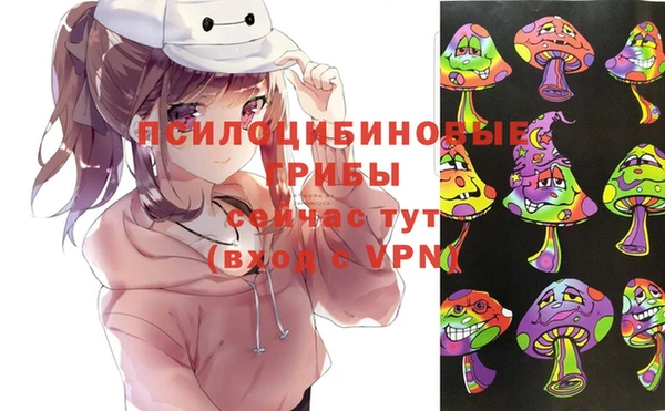 а пвп мука Елизово