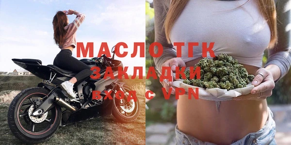 стаф Ельня
