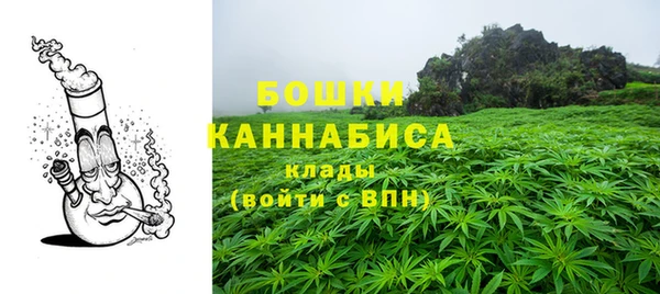 стаф Ельня