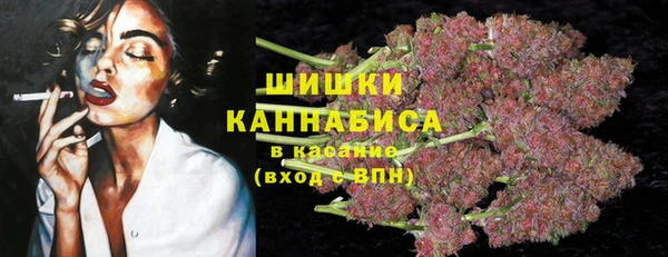 стаф Ельня