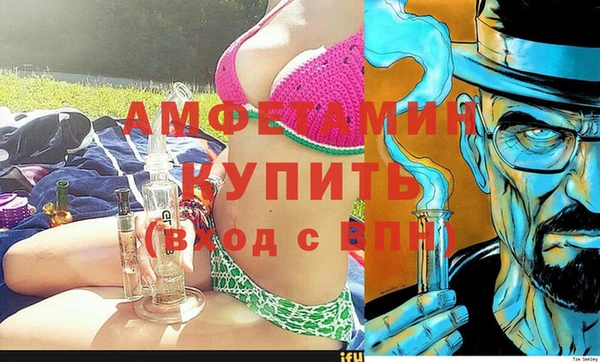 стаф Ельня