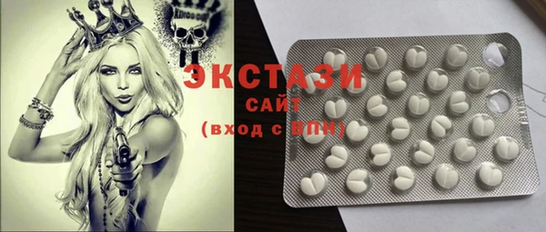 стаф Ельня