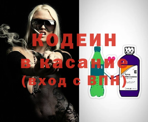 стаф Ельня