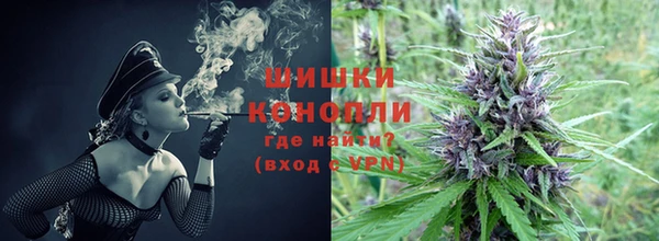 МДПВ Елабуга