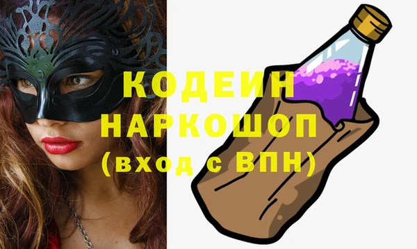 МДПВ Елабуга