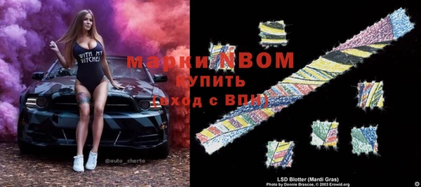 стаф Ельня
