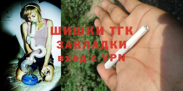 стаф Ельня