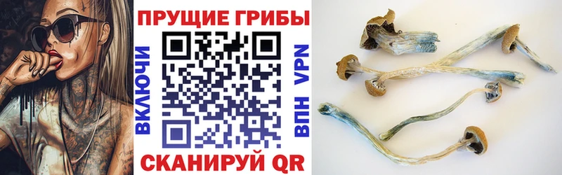 Купить закладки Калининец Галлюциногенные грибы Cubensis